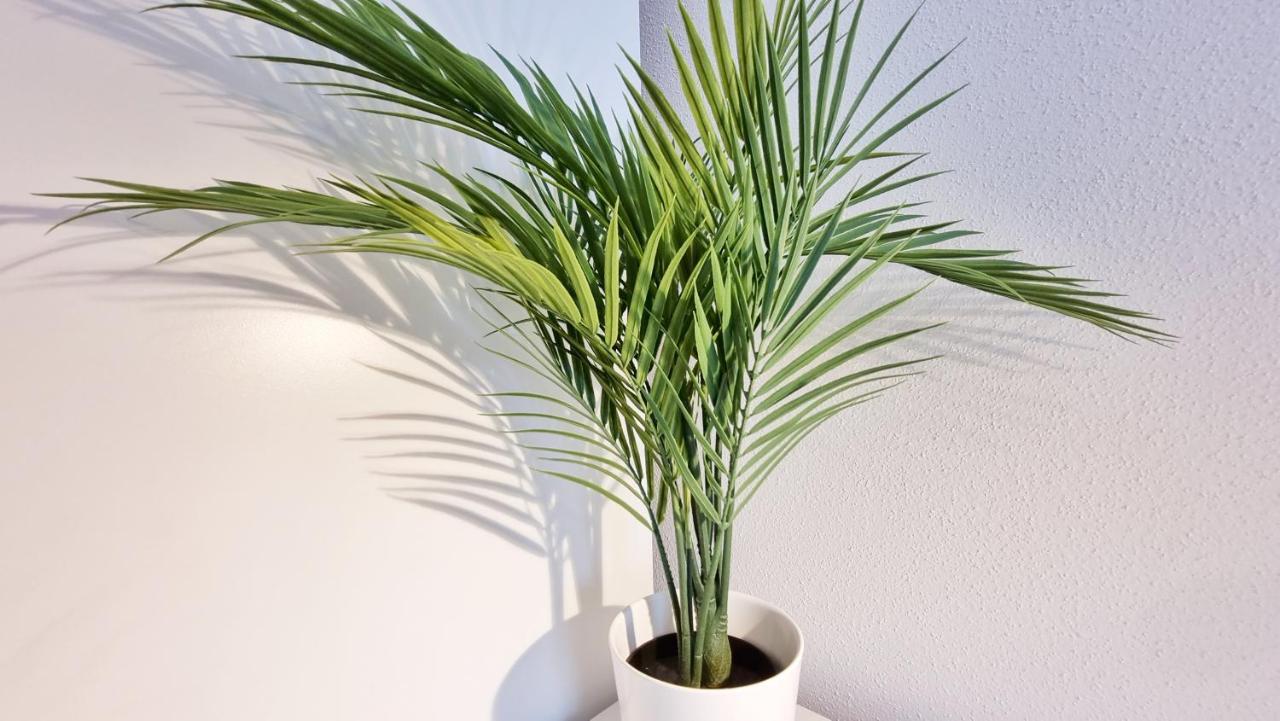 Chez Jm - Calme - Chic - Fibre - Relax Bnb Miluza Zewnętrze zdjęcie